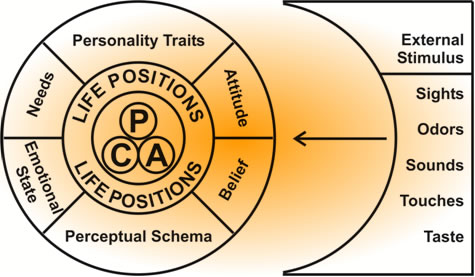 Development of Unconscious Competence